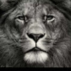 Meet your Posher, Kendall